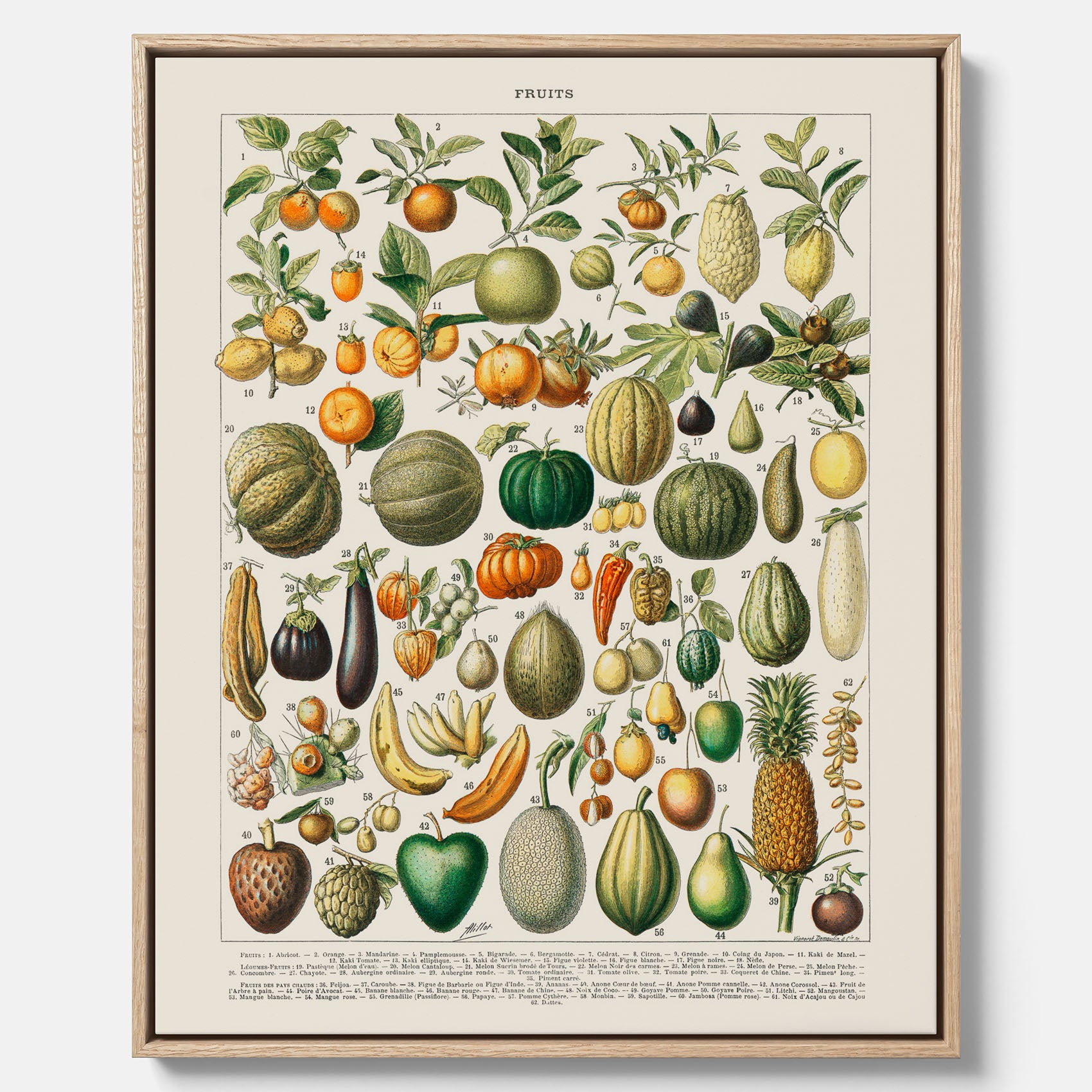 Kökstavla i canvas med Frukt och grönsaker Plansch – Posters till köket, Affisch med en vintageillustration, köksposter, tavla till kök