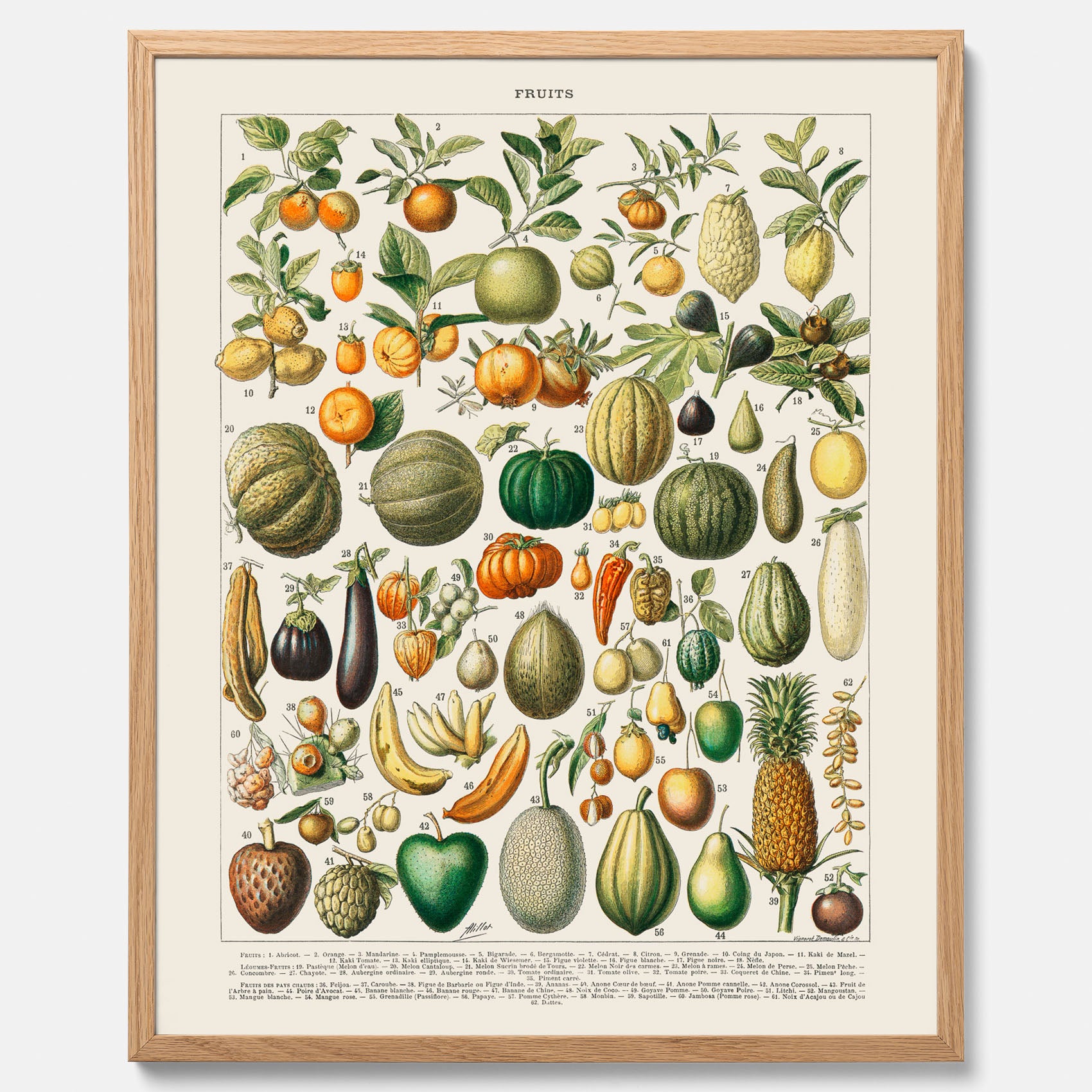 Kökstavla med Frukt och grönsaker Plansch – Posters till köket, Affisch med en vintageillustration, köksposter, tavla till kök