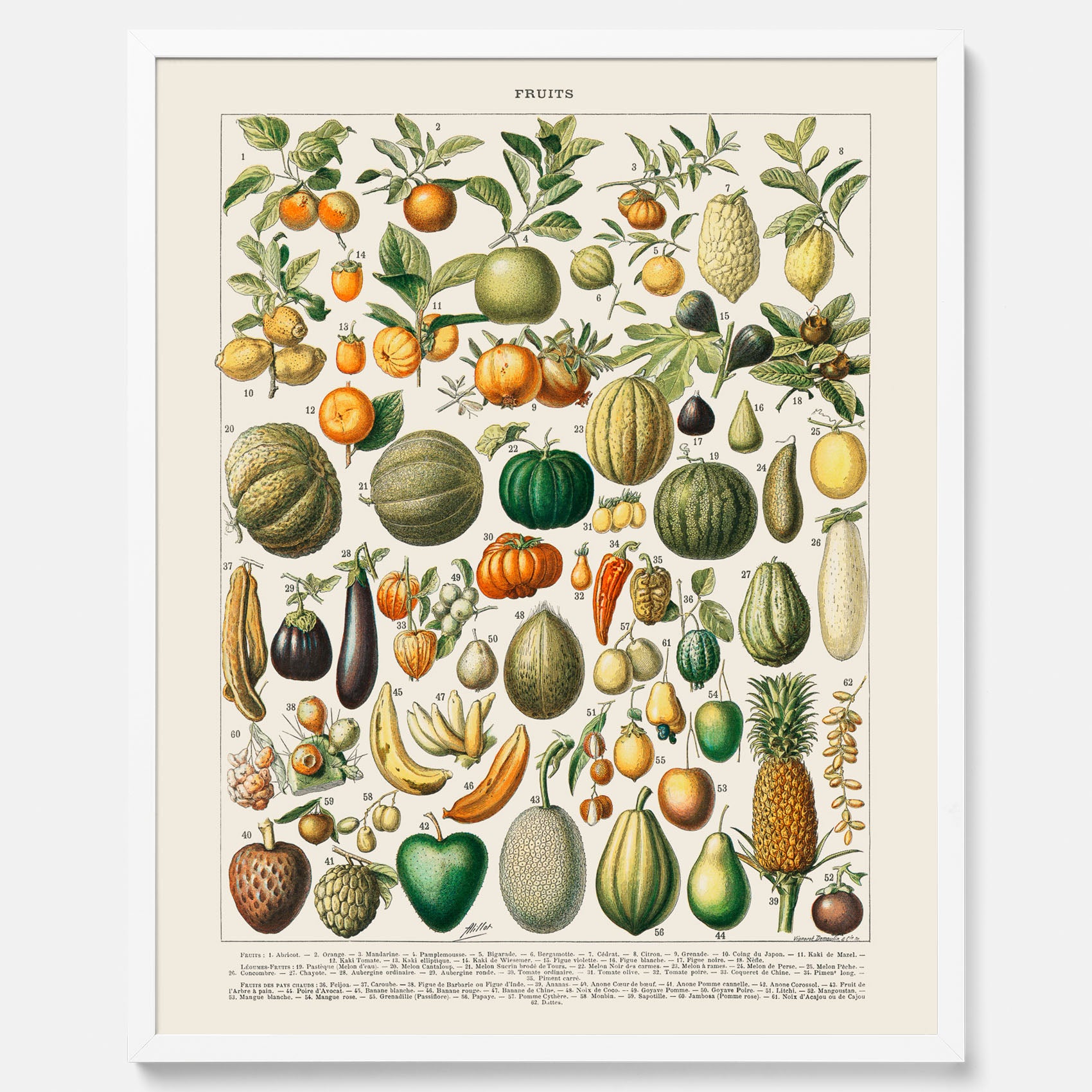 Kökstavla med Frukt och grönsaker Plansch – Posters till köket, Affisch med en vintageillustration, köksposter, tavla till kök