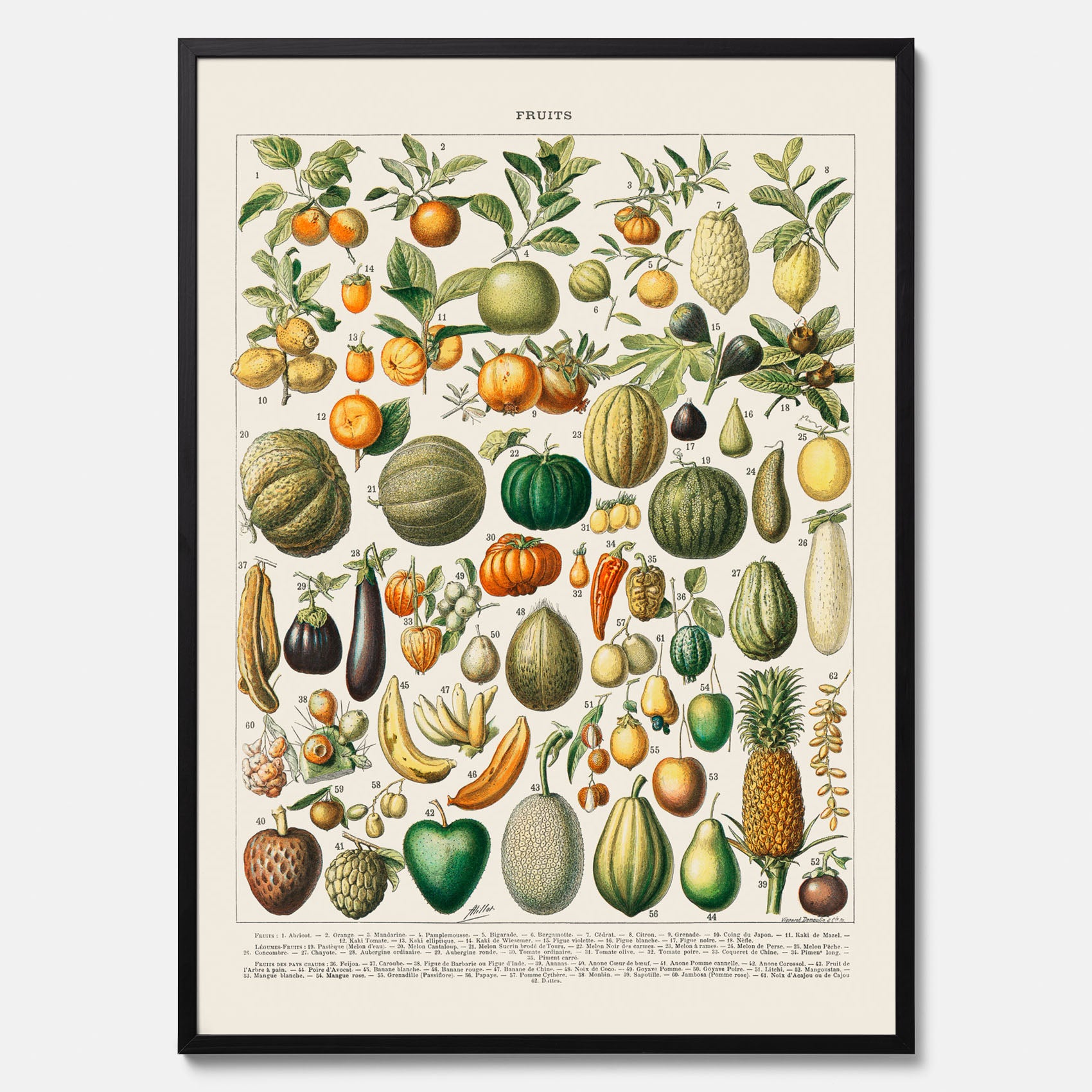 Kökstavla med Frukt och grönsaker Plansch – Posters till köket, Affisch med en vintageillustration, köksposter, tavla till kök