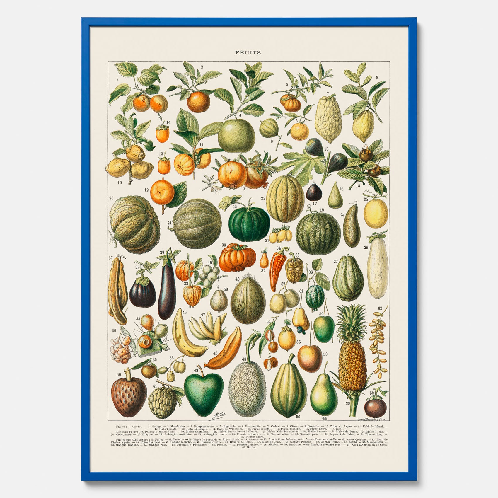 Kökstavla med Frukt och grönsaker Plansch – Posters till köket, Affisch med en vintageillustration, köksposter, tavla till kök