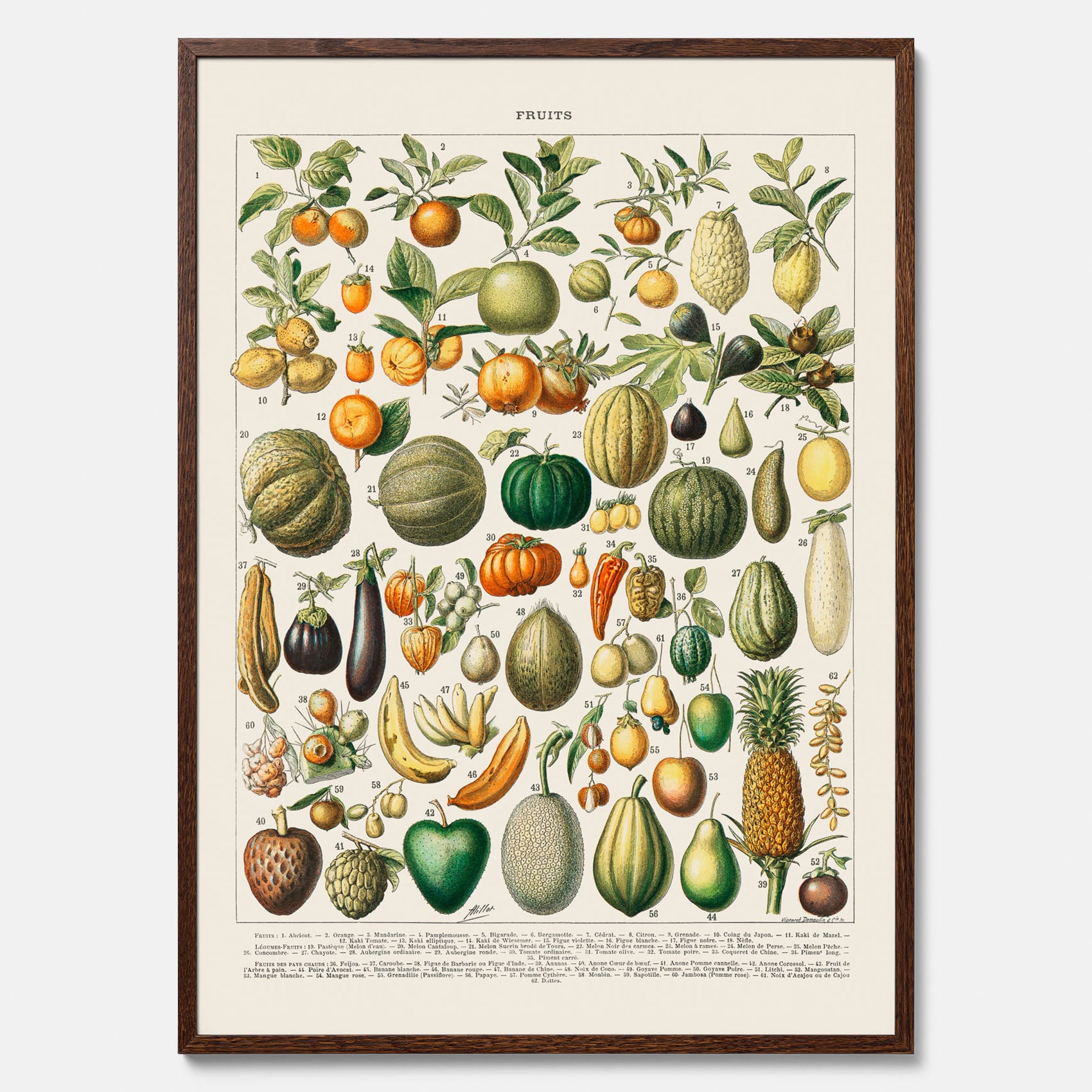 Kökstavla med Frukt och grönsaker Plansch – Posters till köket, Affisch med en vintageillustration, köksposter, tavla till kök