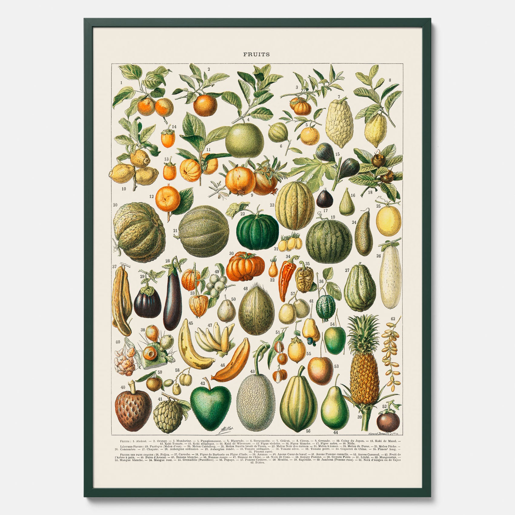 Kökstavla med Frukt och grönsaker Plansch – Posters till köket, Affisch med en vintageillustration, köksposter, tavla till kök