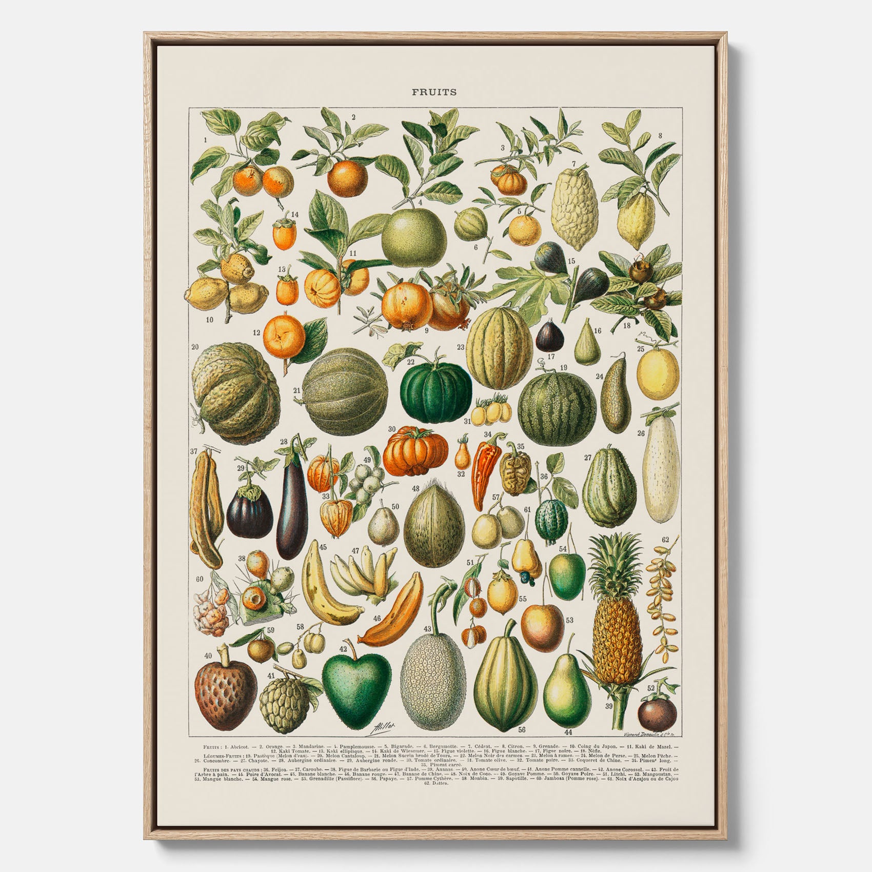 Kökstavla i canvas med Frukt och grönsaker Plansch – Posters till köket, Affisch med en vintageillustration, köksposter, tavla till kök