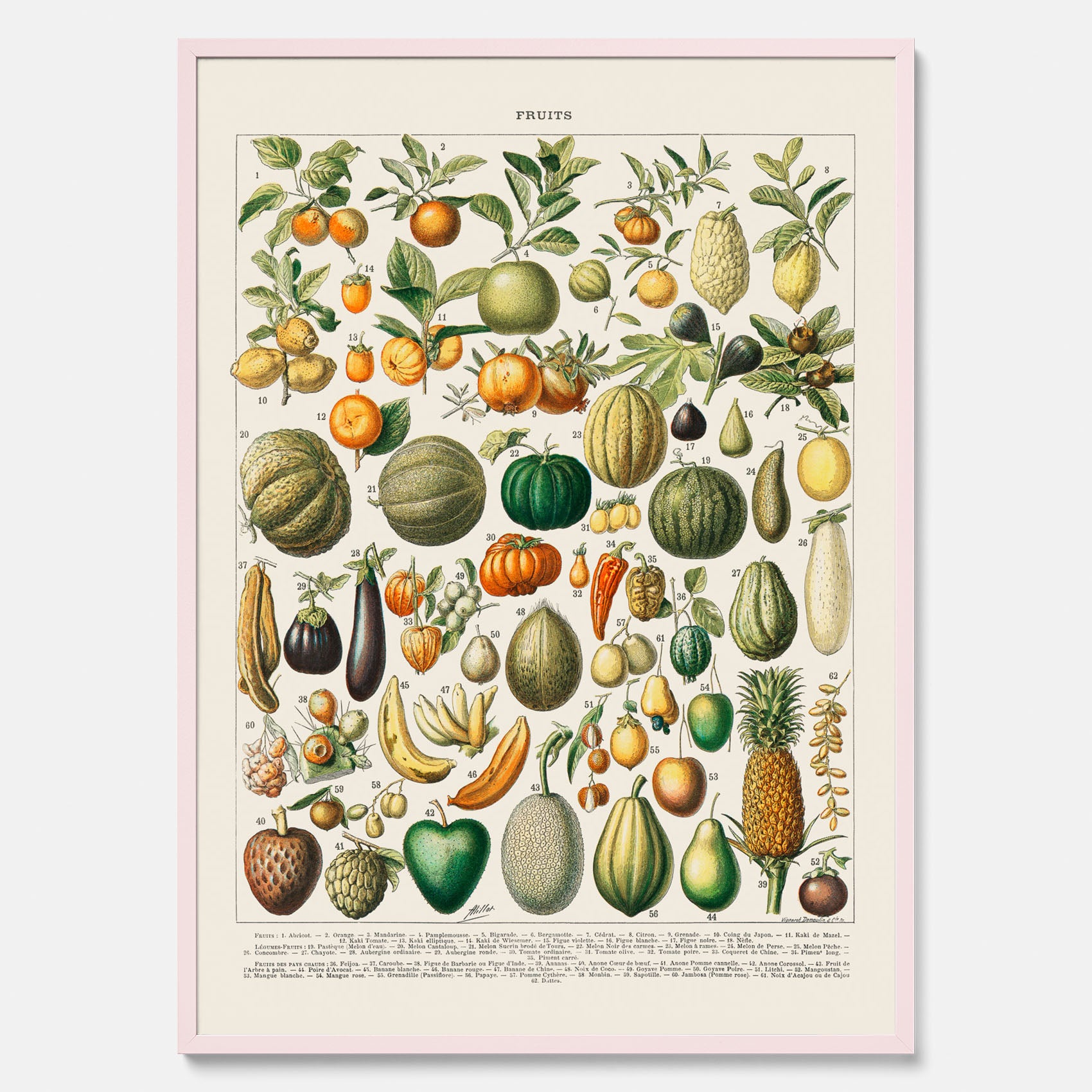 Kökstavla med Frukt och grönsaker Plansch – Posters till köket, Affisch med en vintageillustration, köksposter, tavla till kök