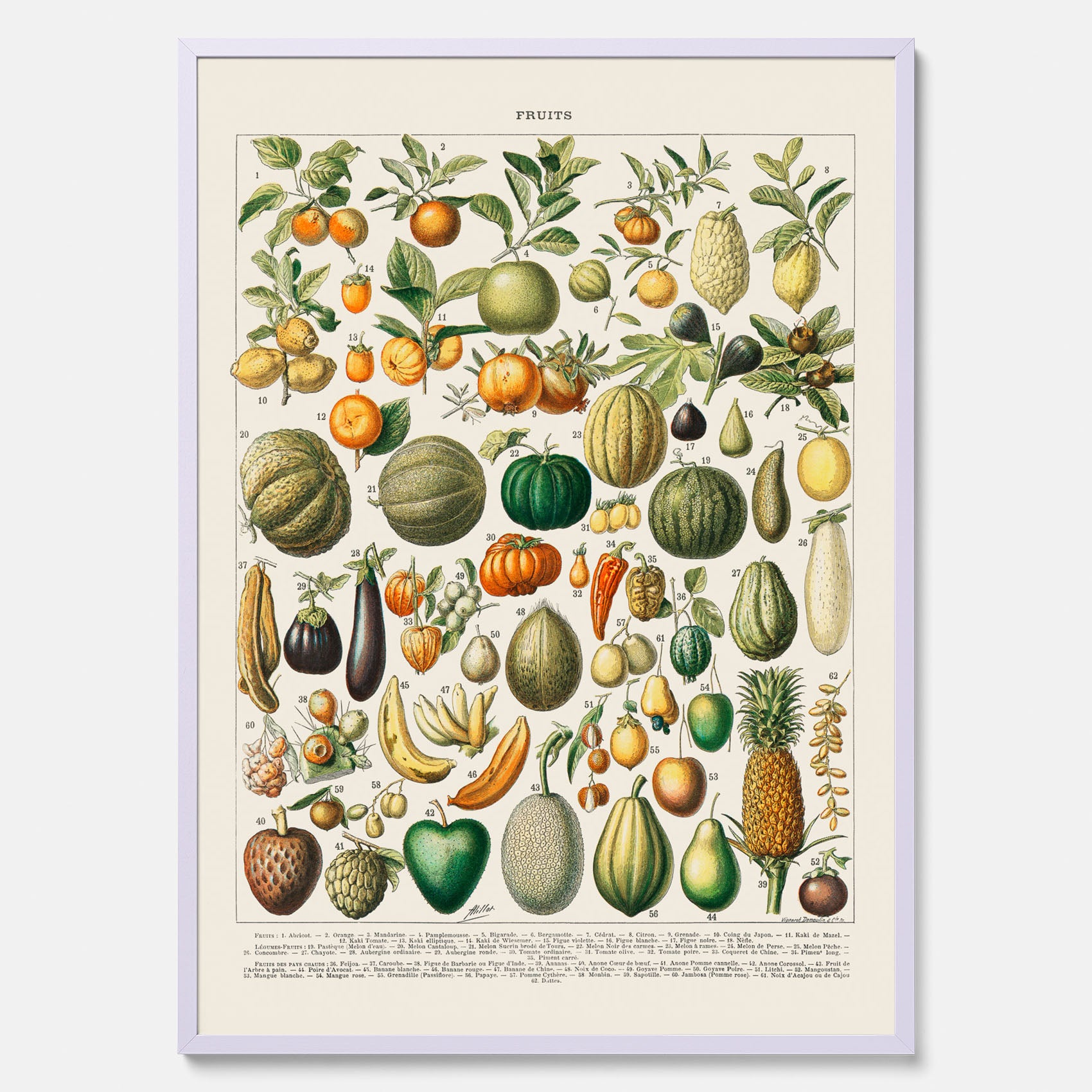 Kökstavla med Frukt och grönsaker Plansch – Posters till köket, Affisch med en vintageillustration, köksposter, tavla till kök