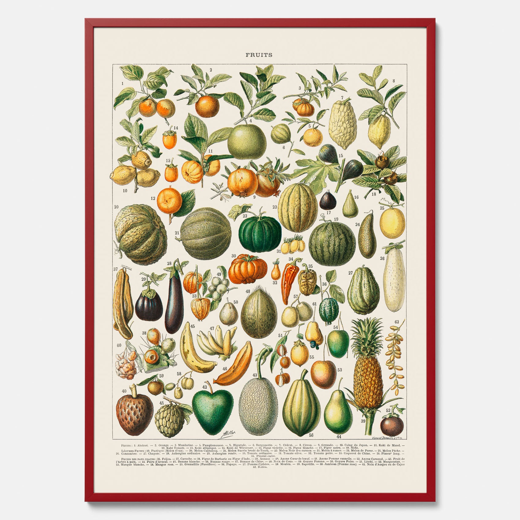 Kökstavla med Frukt och grönsaker Plansch – Posters till köket, Affisch med en vintageillustration, köksposter, tavla till kök