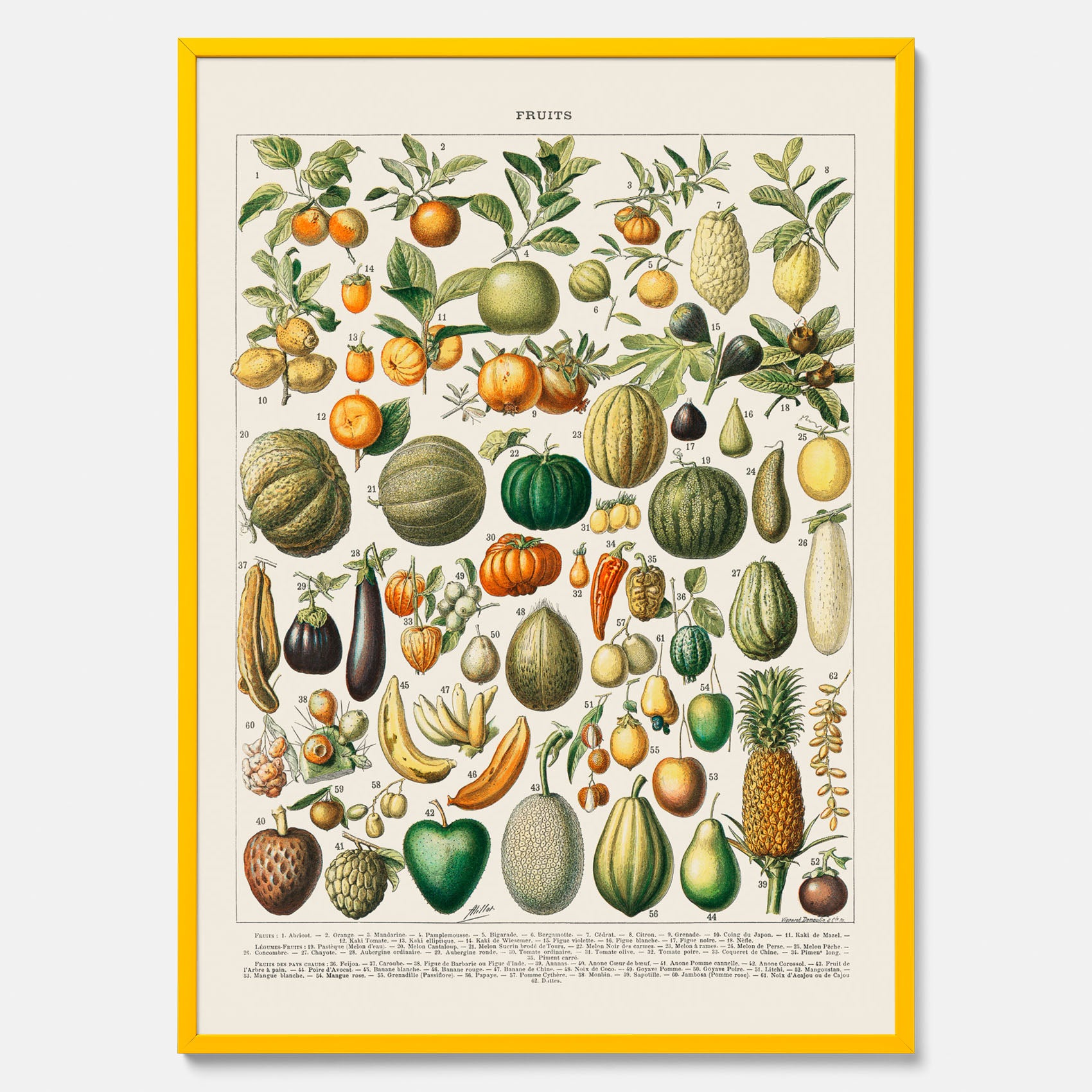 Kökstavla med Frukt och grönsaker Plansch – Posters till köket, Affisch med en vintageillustration, köksposter, tavla till kök