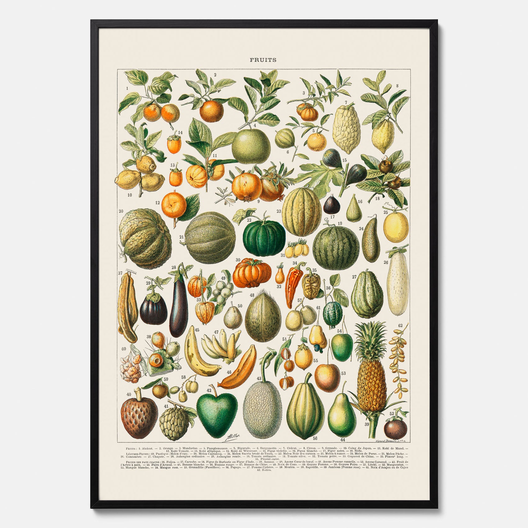 Kökstavla med Frukt och grönsaker Plansch – Posters till köket, Affisch med en vintageillustration, köksposter, tavla till kök