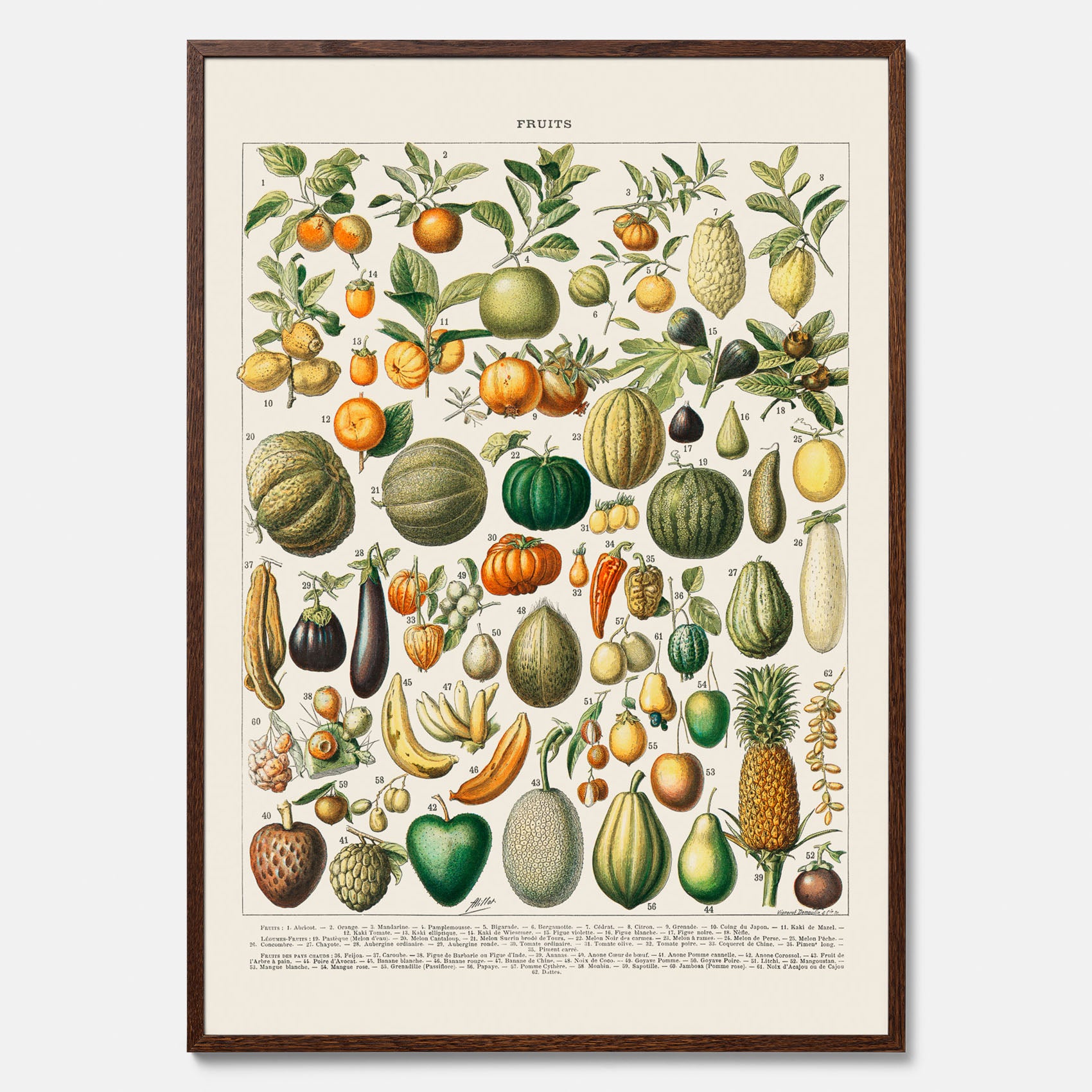 Kökstavla med Frukt och grönsaker Plansch – Posters till köket, Affisch med en vintageillustration, köksposter, tavla till kök
