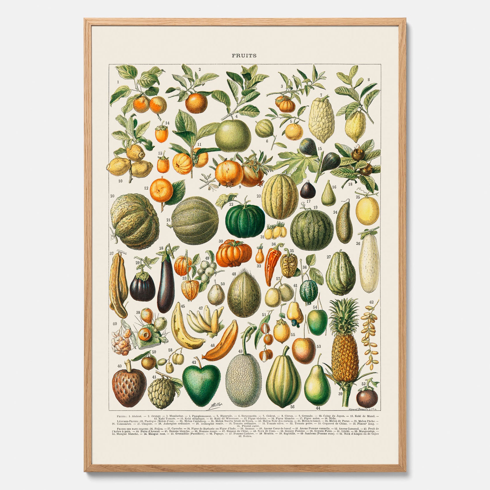 Kökstavla med Frukt och grönsaker Plansch – Posters till köket, Affisch med en vintageillustration, köksposter, tavla till kök