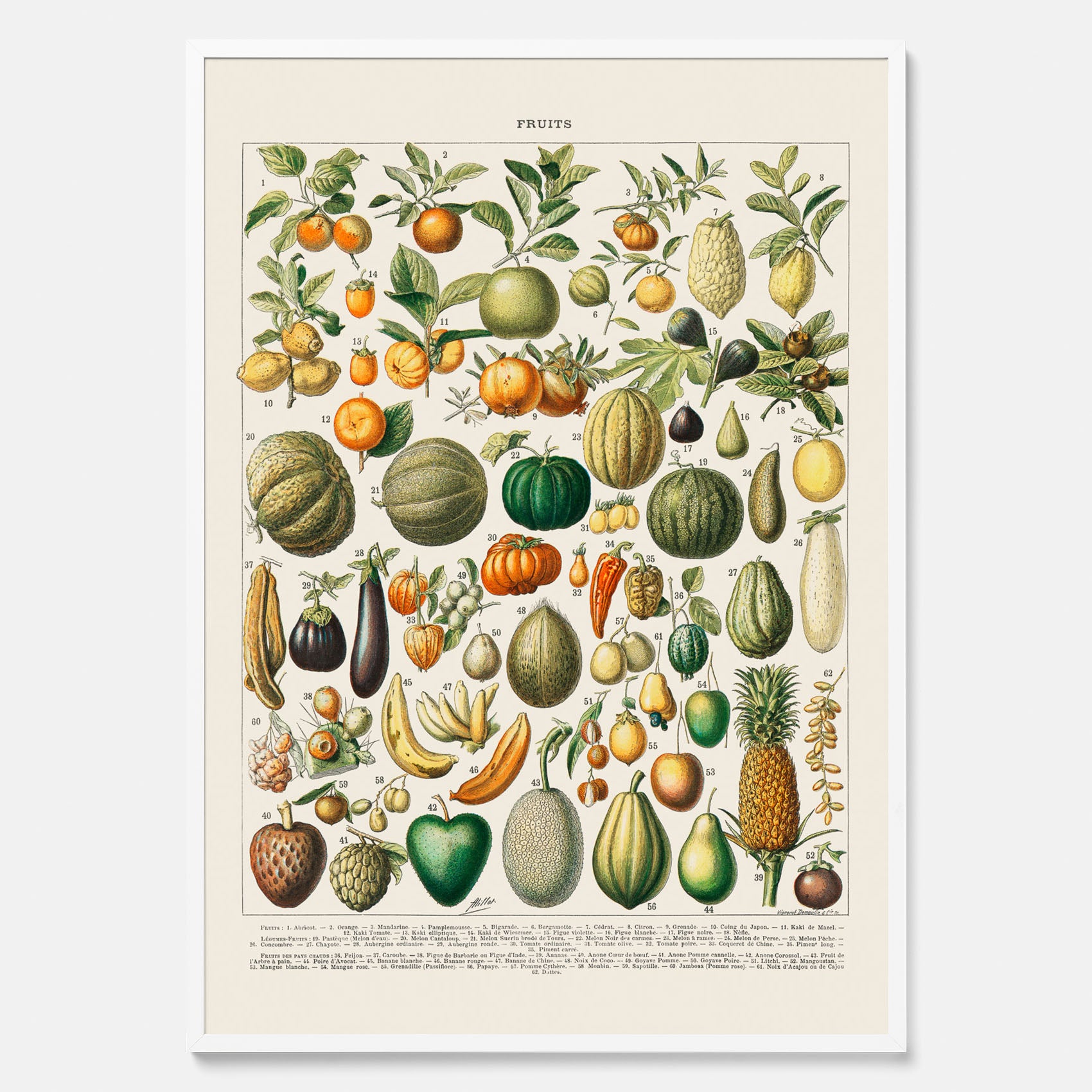 Kökstavla med Frukt och grönsaker Plansch – Posters till köket, Affisch med en vintageillustration, köksposter, tavla till kök