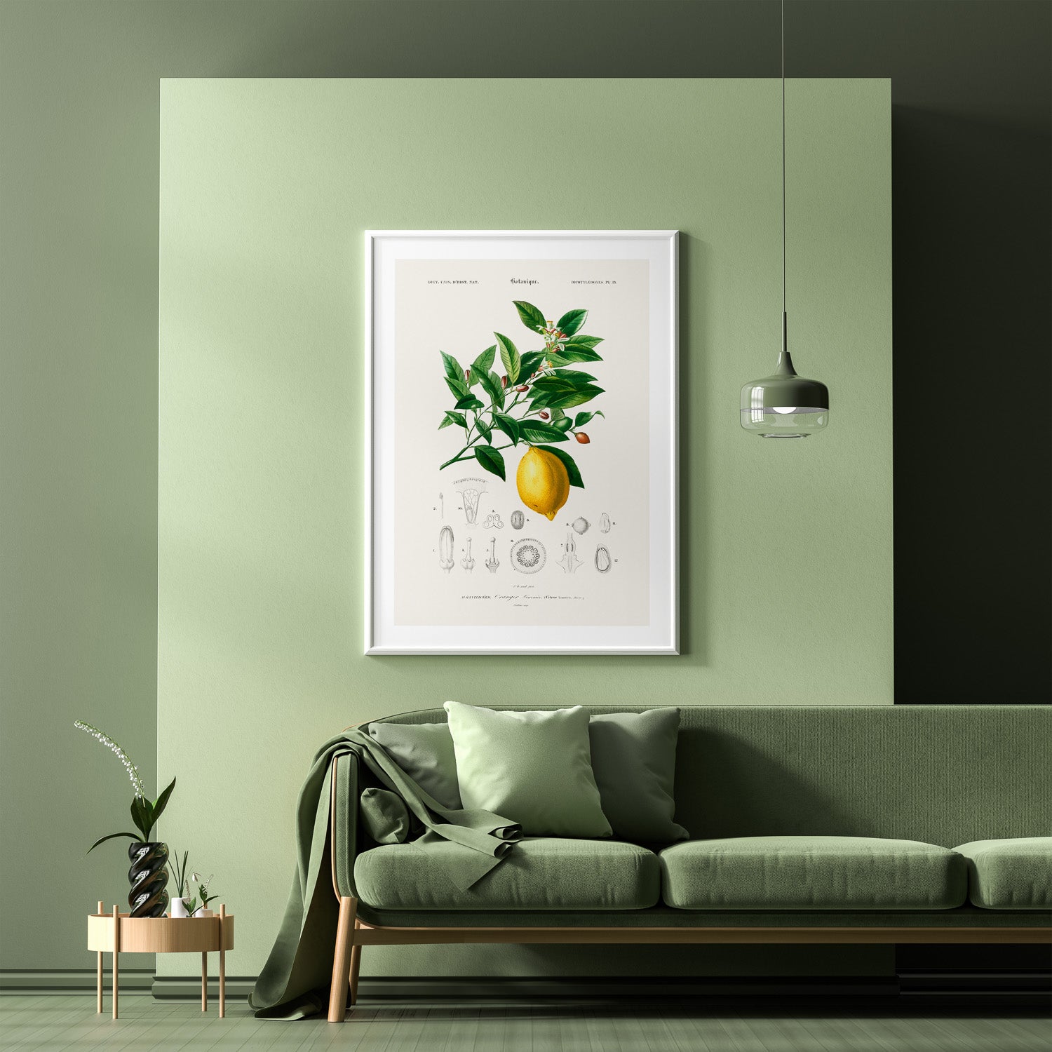 Citron poster – Plansch med frukt, fruktposter, citrontavla, tavla med citroner