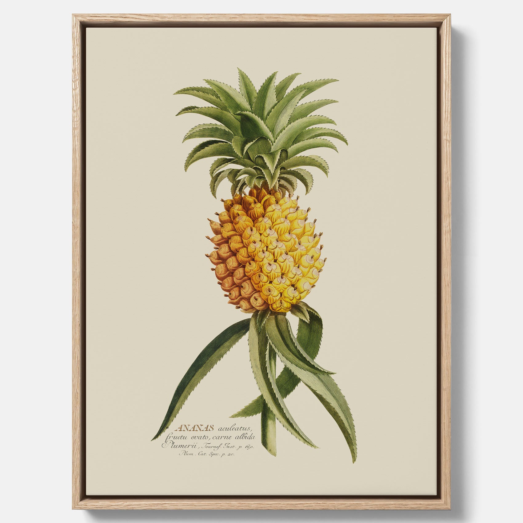 Kökstavla i canvas med en Ananas – Plansch till köket, Skolposter, köksposter, tavla till kök, poster till kök