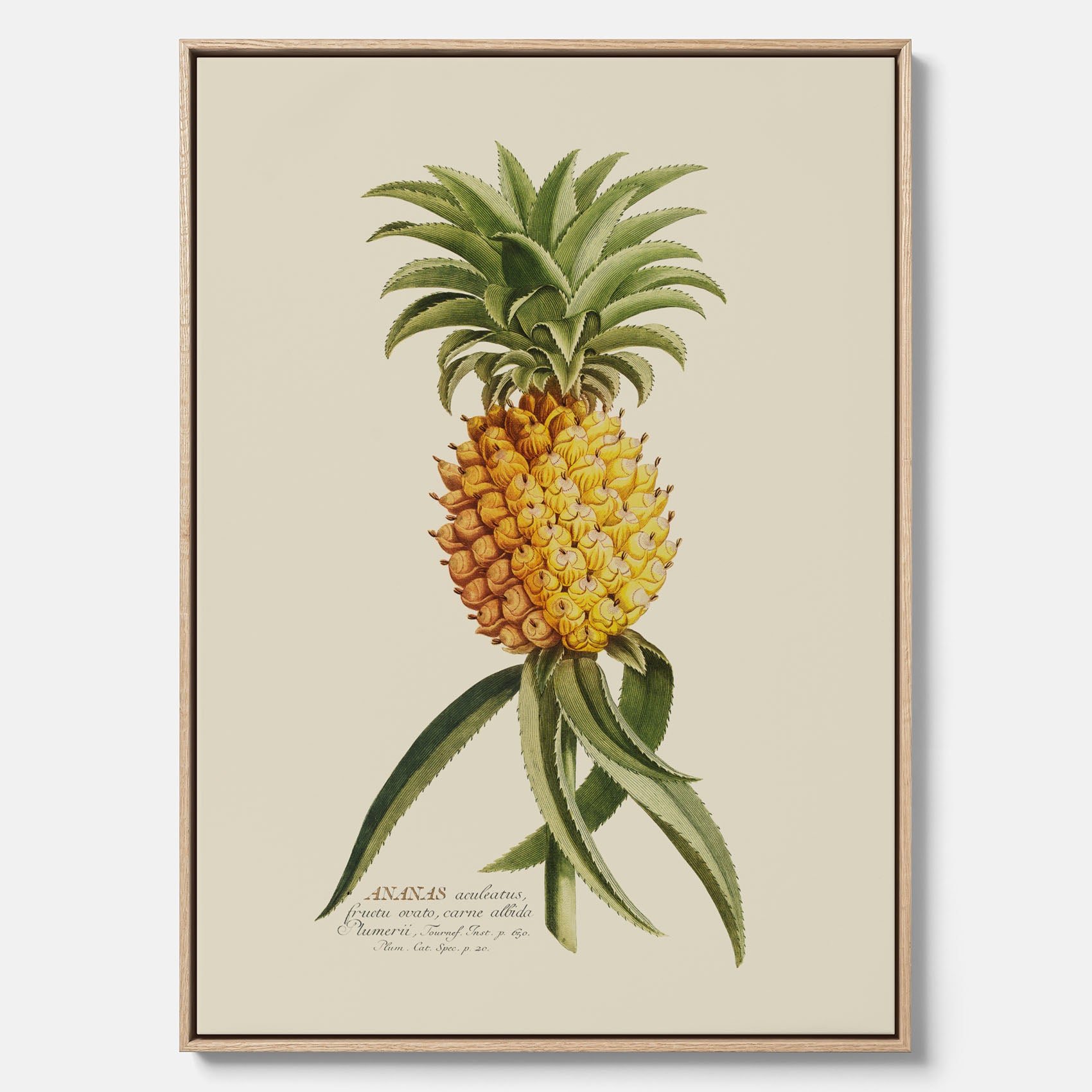 Kökstavla i canvas med en Ananas – Plansch till köket, Skolposter, köksposter, tavla till kök, poster till kök