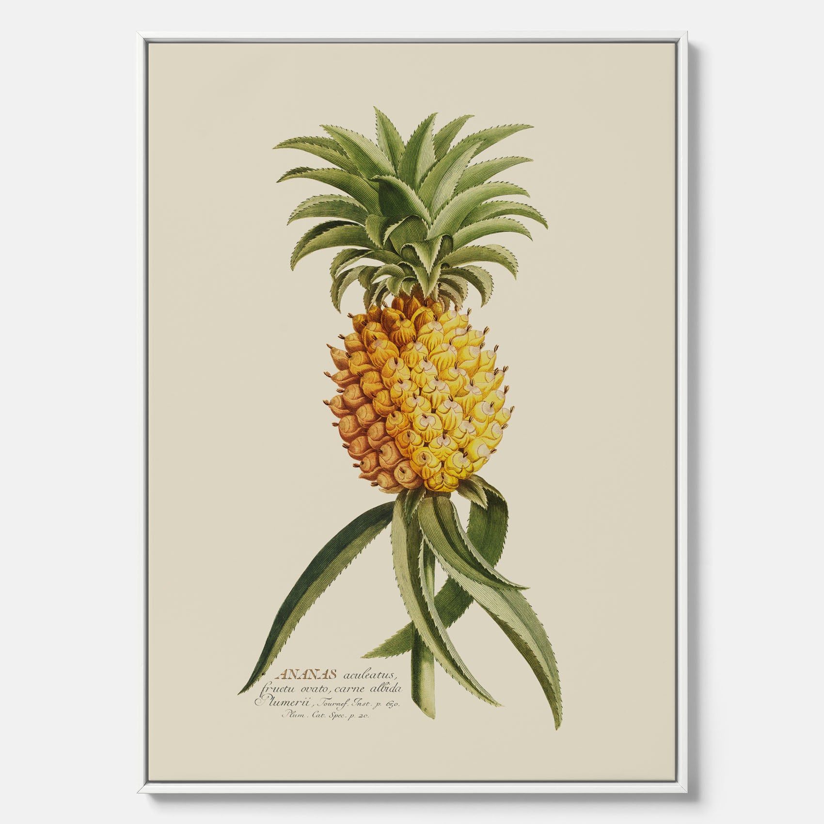 Kökstavla i canvas med en Ananas – Plansch till köket, Skolposter, köksposter, tavla till kök, poster till kök