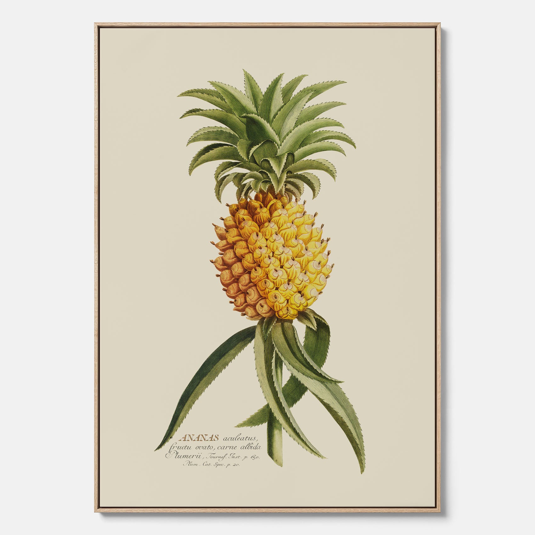 Kökstavla i canvas med en Ananas – Plansch till köket, Skolposter, köksposter, tavla till kök, poster till kök