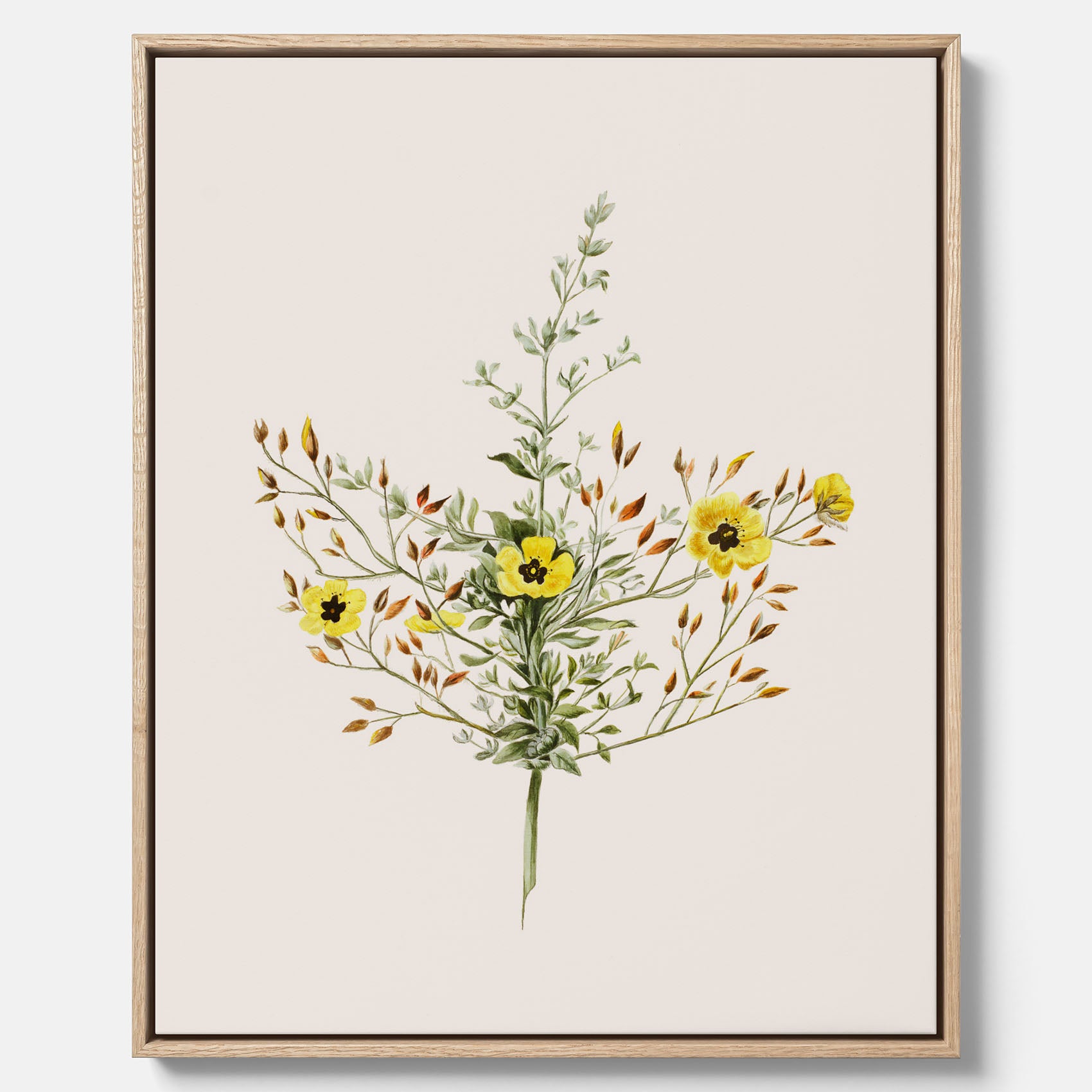 Vintageprint på canvas med en botanisk illustration föreställande nejlikglim, även kallad &