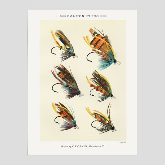 Vintageposter med illustration av fiskedrag för att flugfiska lax, skapad av Mary Orvis Marbury