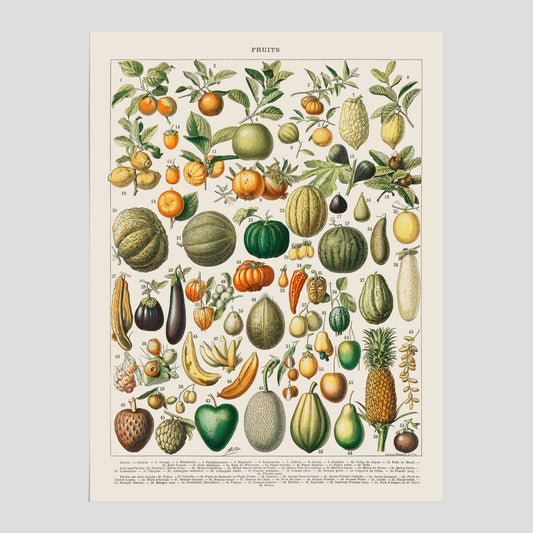 Poster med en vintageillustration av olika frukter och grönsaker