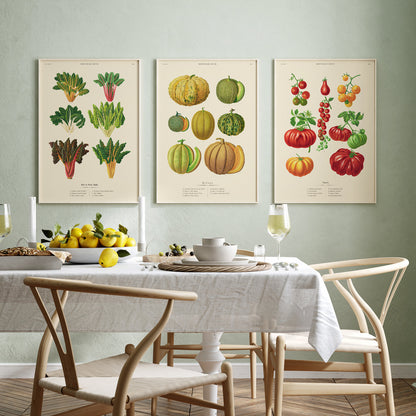 Kökstavla med Tomater poster – Tavla med grönsaker, tomatposter av Ernst Benary, tomattavla, tavla med tomater, skolposter, köksposter, poster till kök