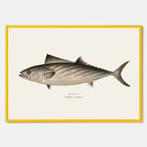 Kökstavla med Ryggstrimmig pelamid poster – Plansch med fisk, fiskposter, fisktavla, köksposter, tavla till kök, poster till kök