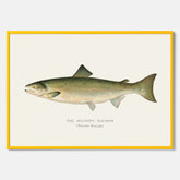 Kökstavla med Atlantlax poster – Plansch med fisk, fiskposter, tavla med fisk, poster till kök, köksposter, tavla till kök