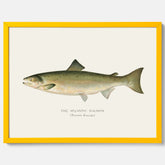 Kökstavla med Atlantlax poster – Plansch med fisk, fiskposter, tavla med fisk, poster till kök, köksposter, tavla till kök
