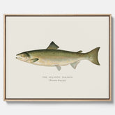 Kökstavla med Atlantlax canvas – Plansch med fisk, fiskposter, tavla med fisk, poster till kök, köksposter, tavla till kök