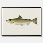 Kökstavla med Atlantlax canvas – Plansch med fisk, fiskposter, tavla med fisk, poster till kök, köksposter, tavla till kök