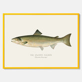 Kökstavla med Atlantlax poster – Plansch med fisk, fiskposter, tavla med fisk, poster till kök, köksposter, tavla till kök