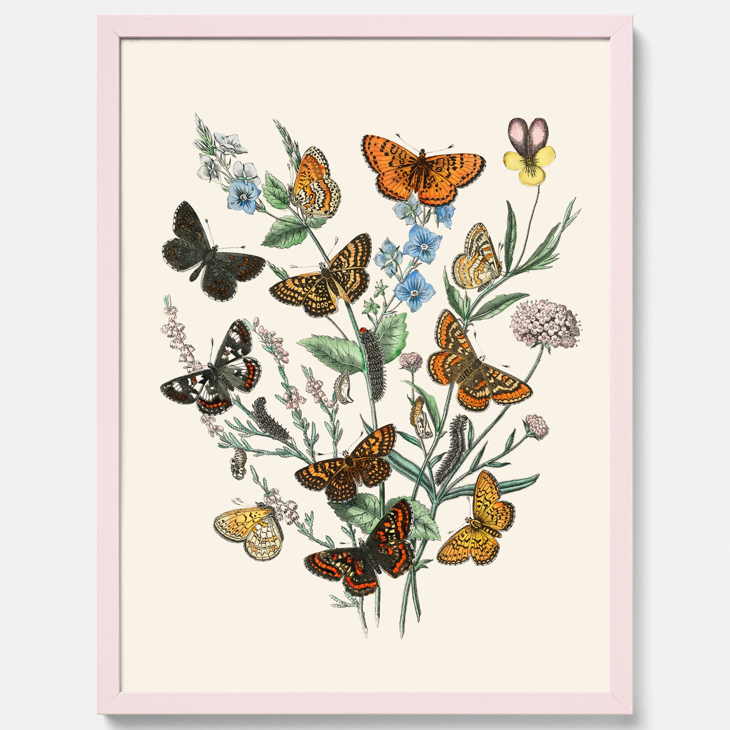 Poster med en illustration av fjärilar