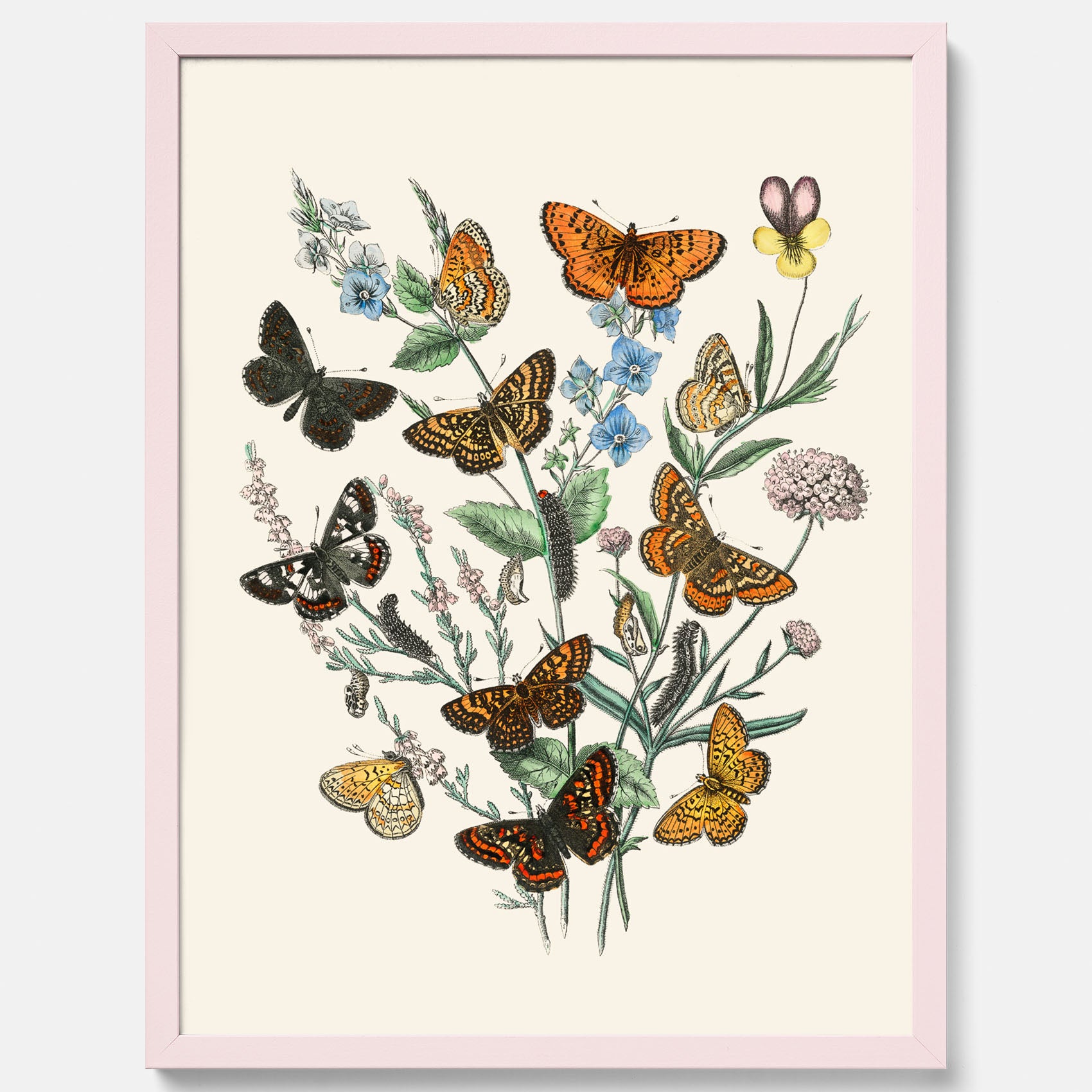 Poster med en illustration av fjärilar