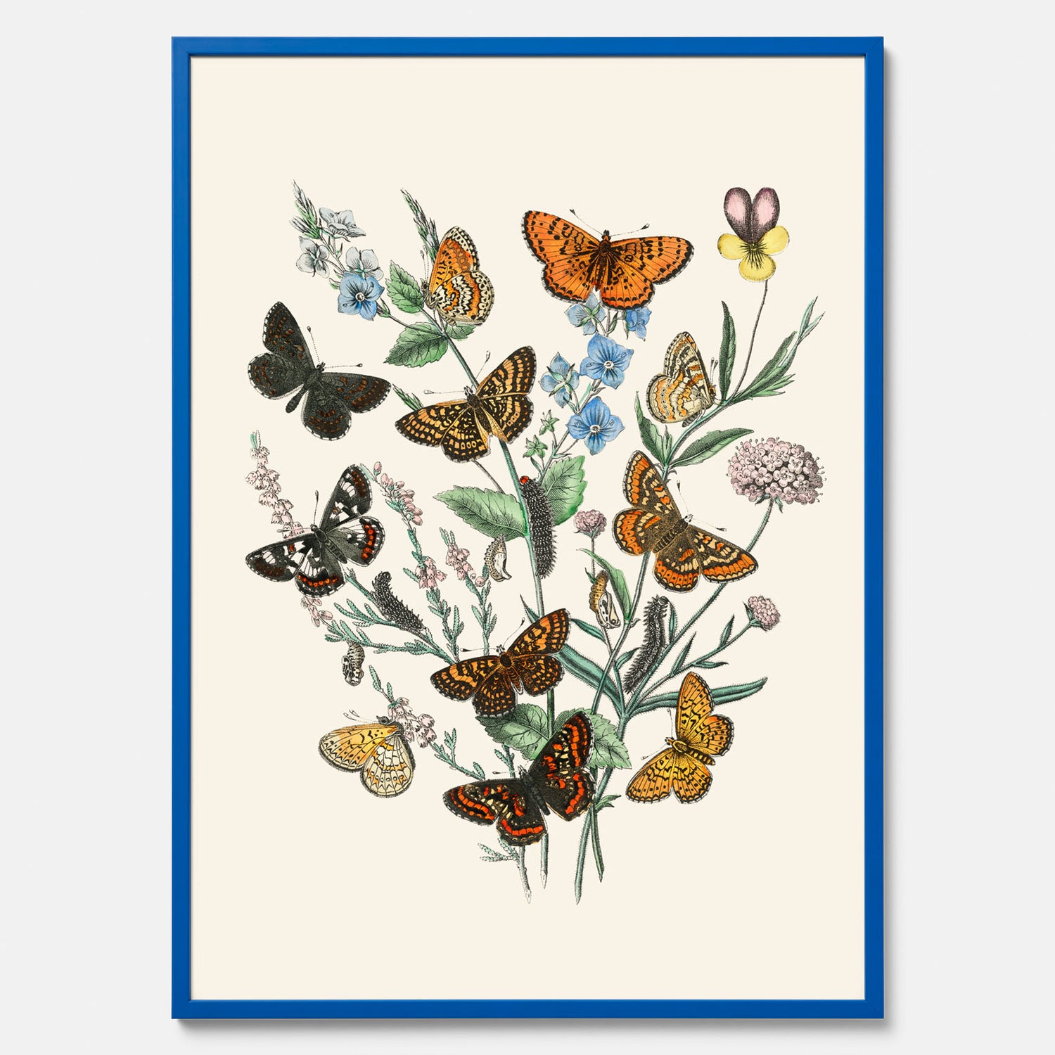 Poster med en illustration av fjärilar