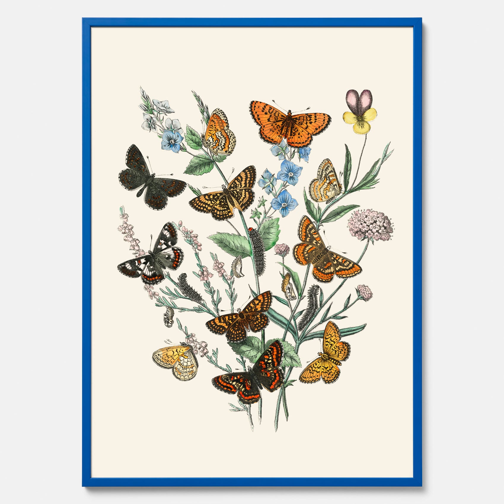 Poster med en illustration av fjärilar