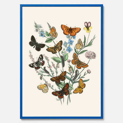 Poster med en illustration av fjärilar