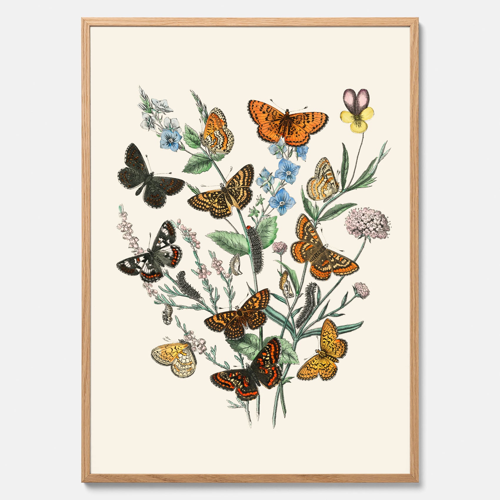 Poster med en illustration av fjärilar
