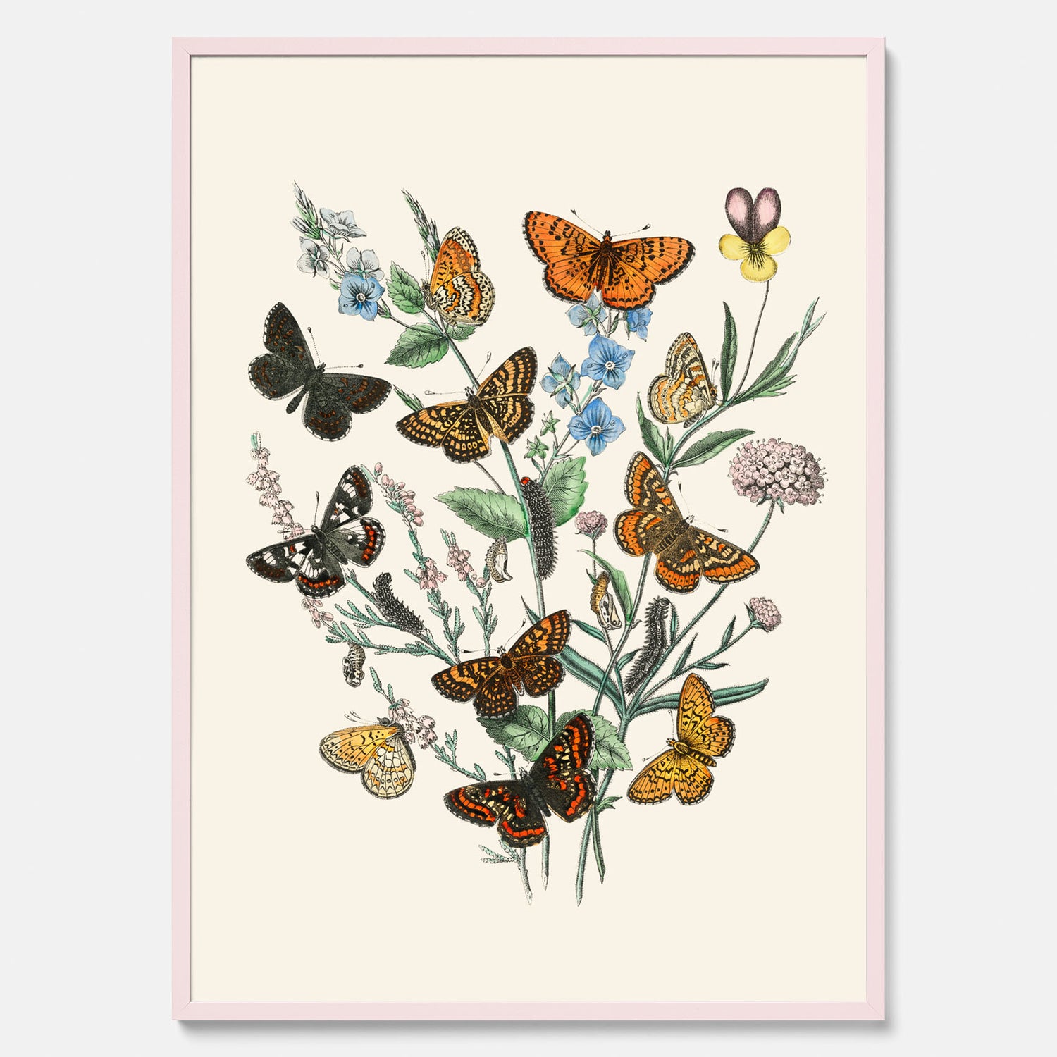 Poster med en illustration av fjärilar