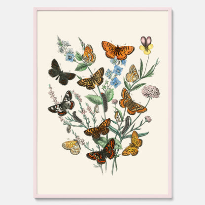 Poster med en illustration av fjärilar