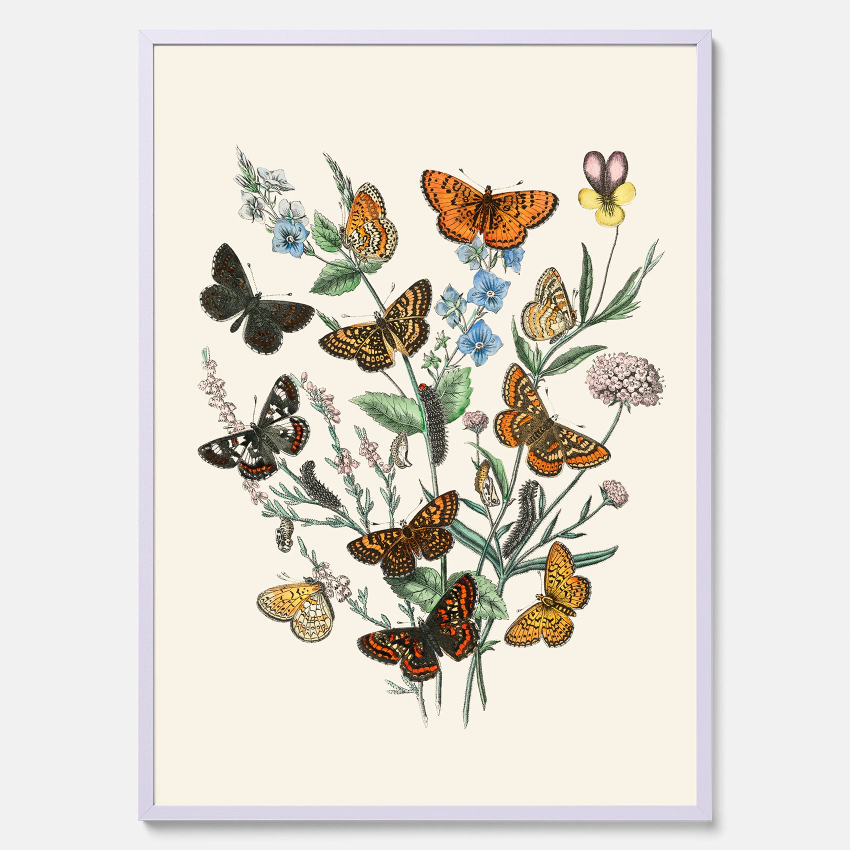 Poster med en illustration av fjärilar