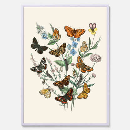 Poster med en illustration av fjärilar