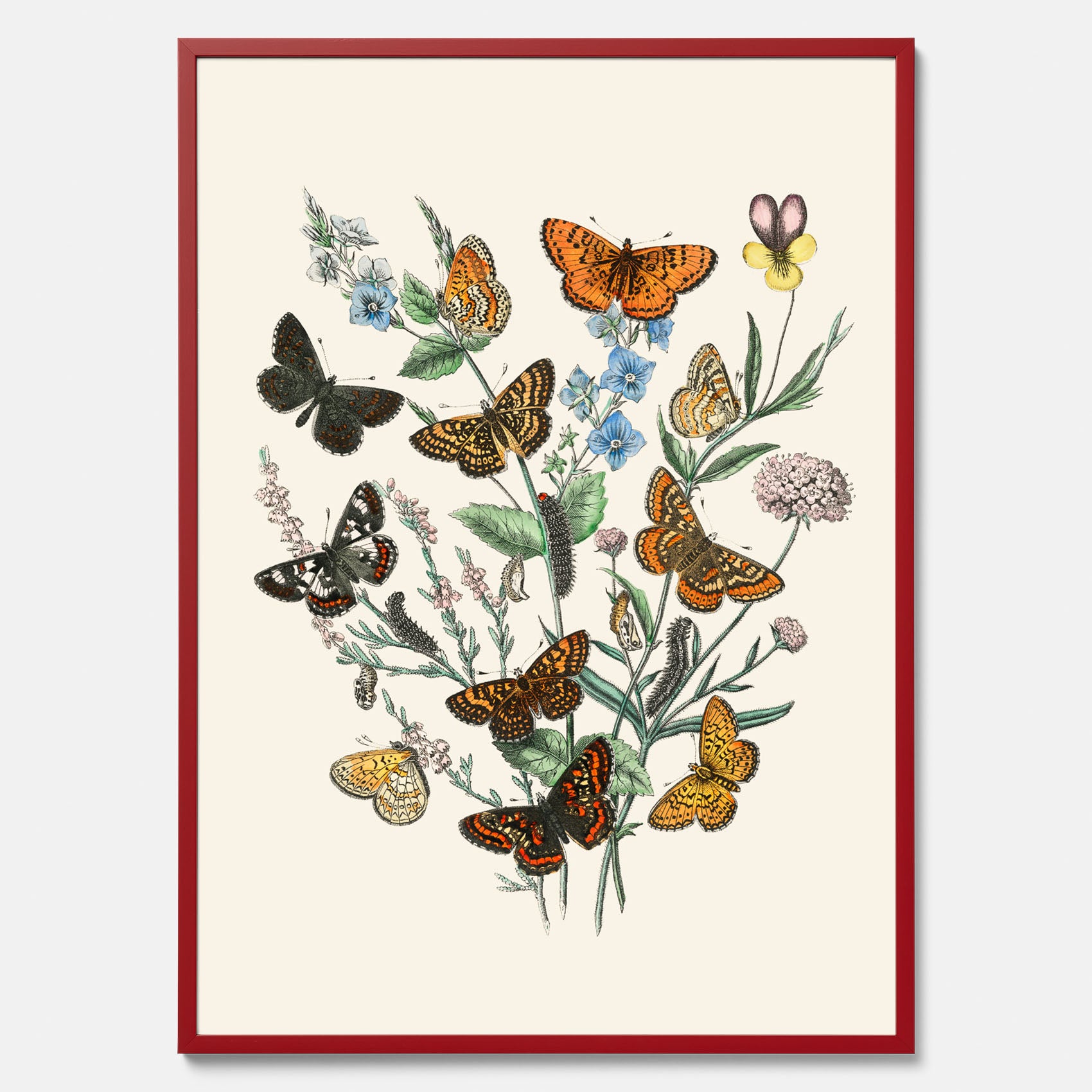 Poster med en illustration av fjärilar