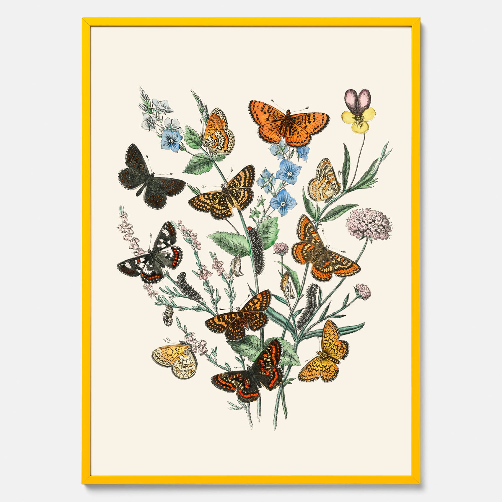 Poster med en illustration av fjärilar