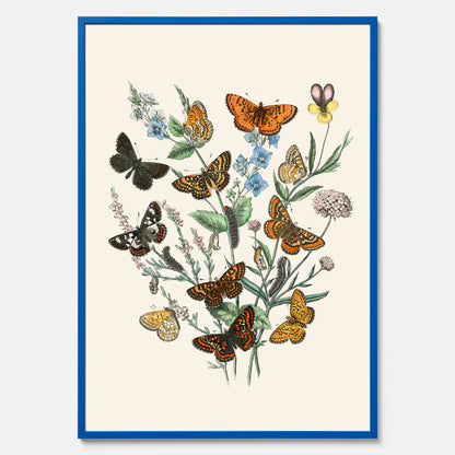 Poster med en illustration av fjärilar