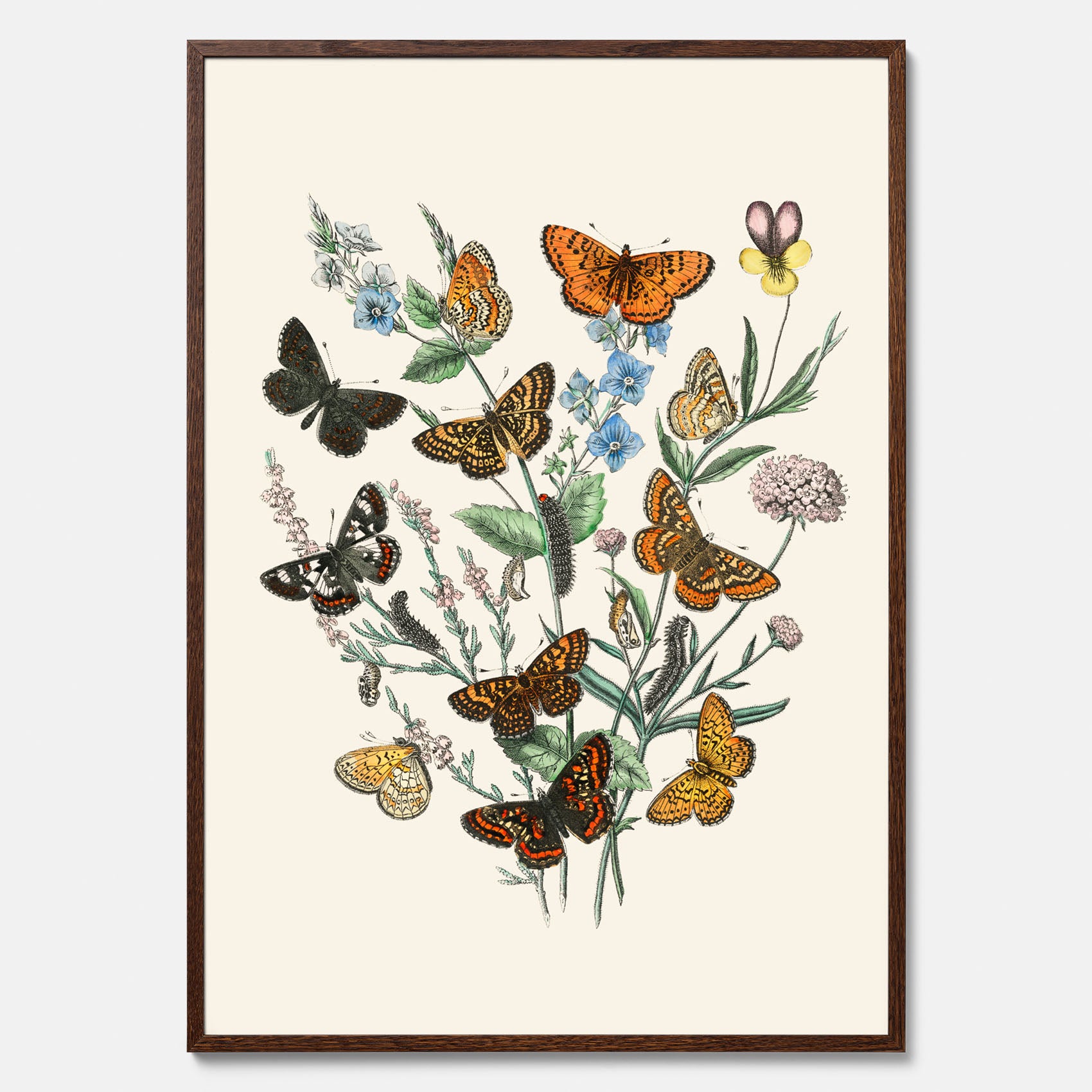 Poster med en illustration av fjärilar