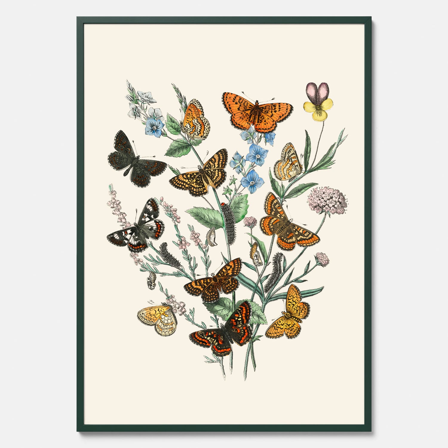 Poster med en illustration av fjärilar