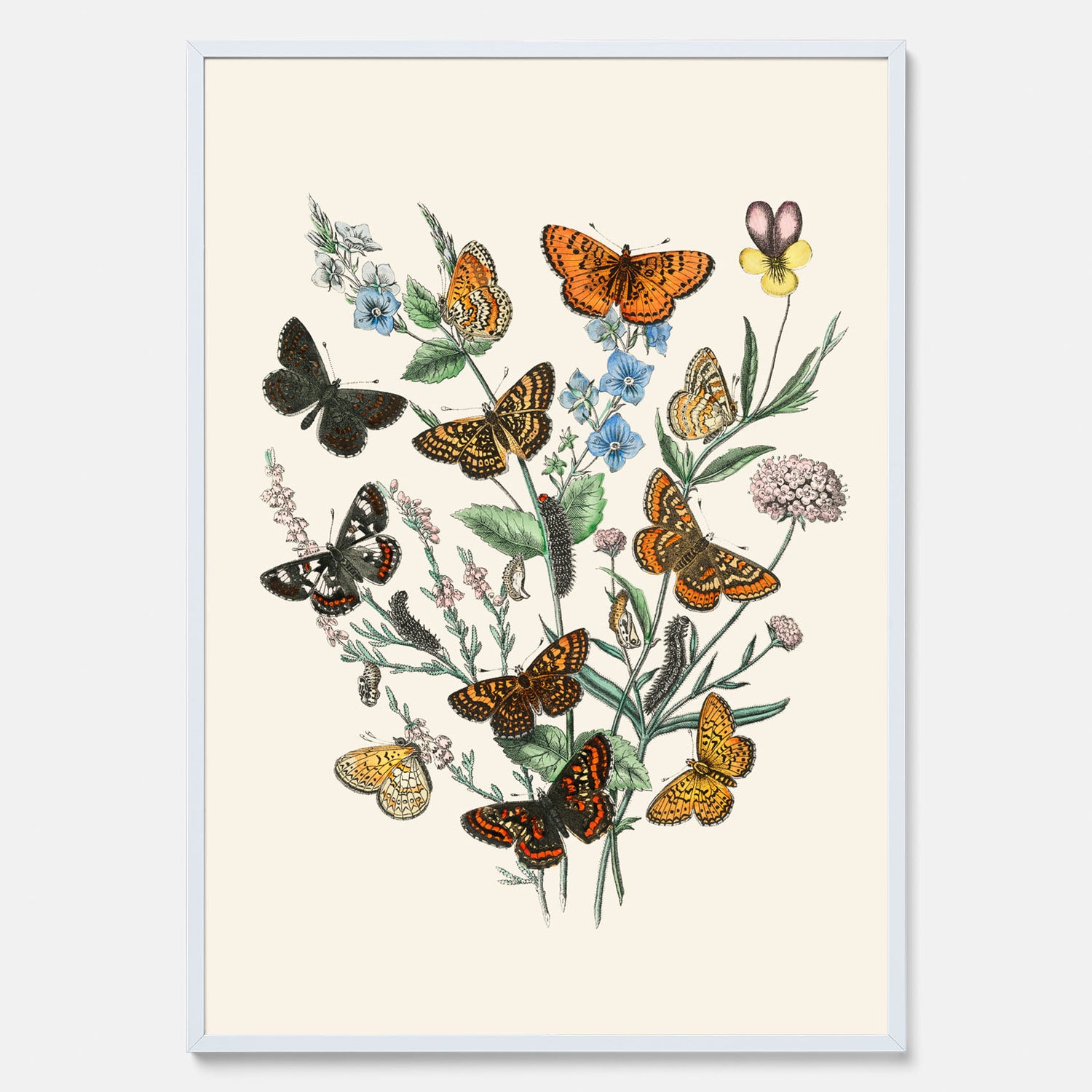 Poster med en illustration av fjärilar