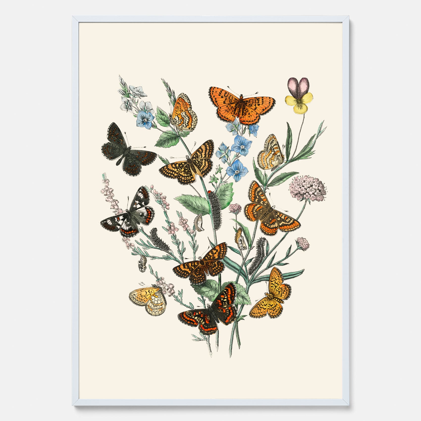 Poster med en illustration av fjärilar