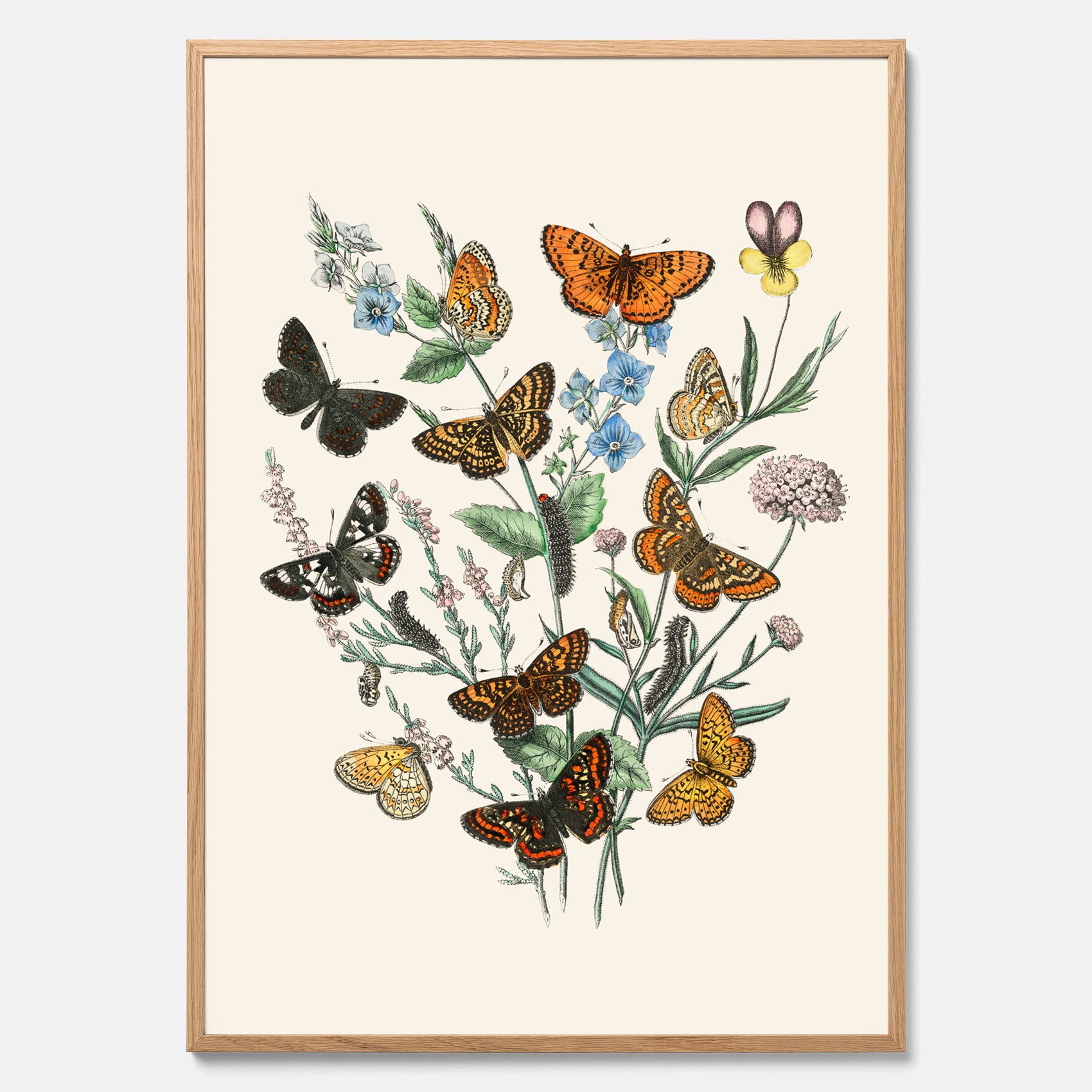 Poster med en illustration av fjärilar