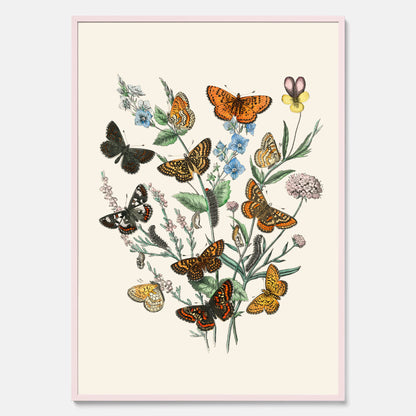 Poster med en illustration av fjärilar